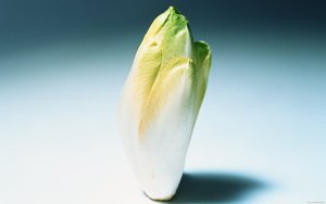 为啥大家都在学技术